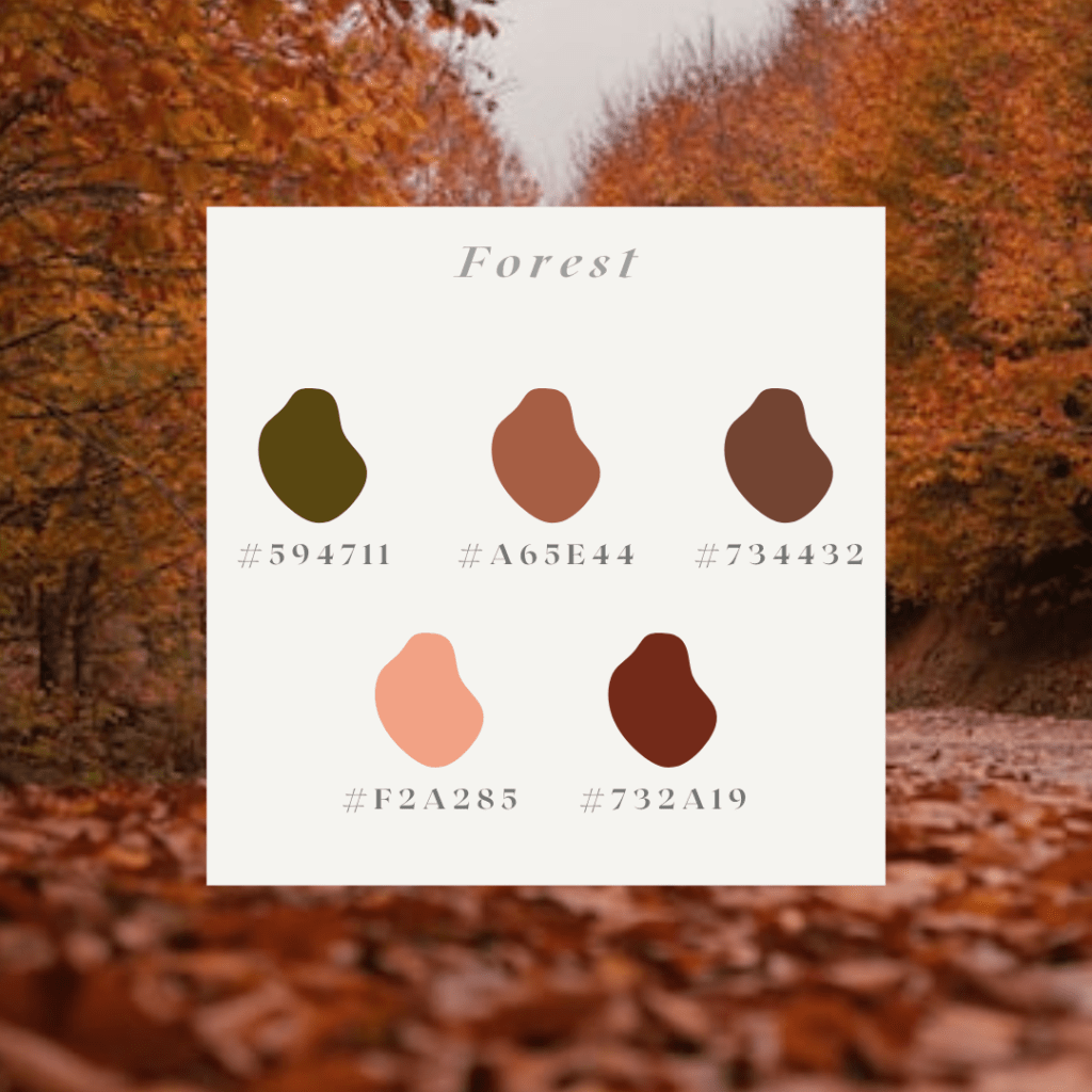 color palette autumn