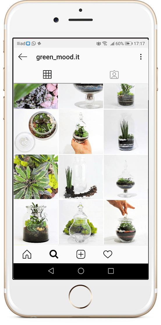 greenmood gestione profilo instagram