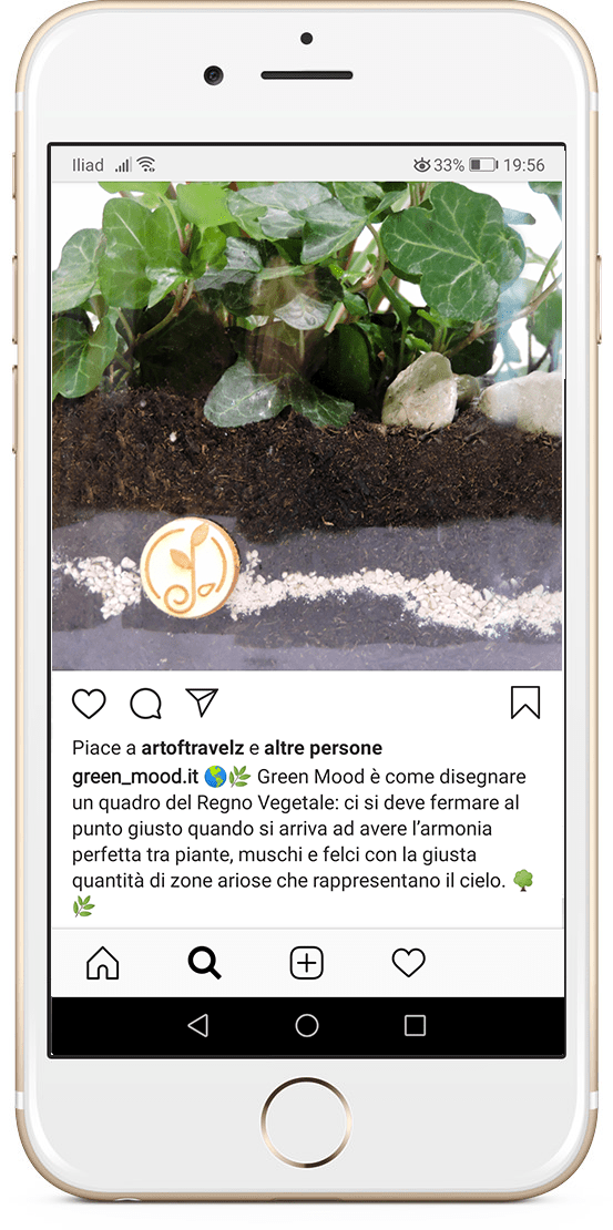 greenmood gestione profilo instagram
